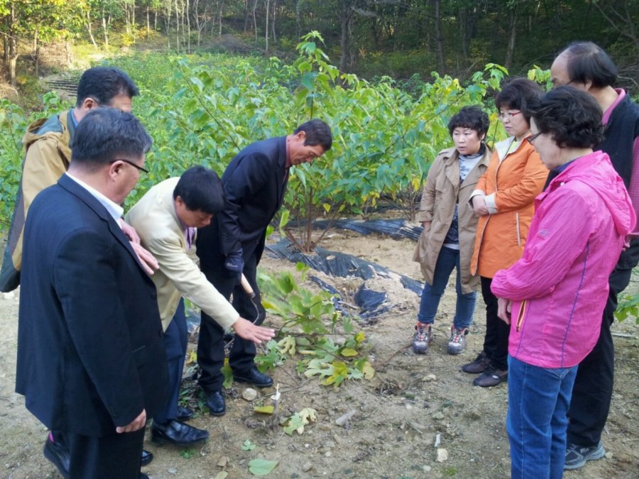 [2014RIS사업]한지원자재생산 심화교육워크샵-닥나무식재교육