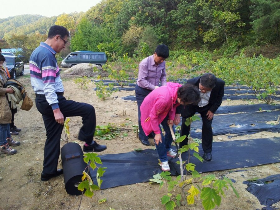 [2014RIS사업]한지원자재생산 심화교육워크샵-닥나무식재교육